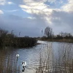 Naturlig Ro