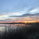 Naturlig Ro Aalborg