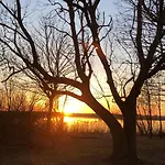 Гостевой дом Naturlig Ro *