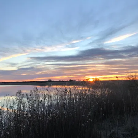 Naturlig Ro Aalborg