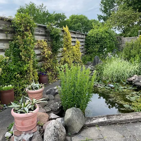 Naturlig Ro * Aalborg